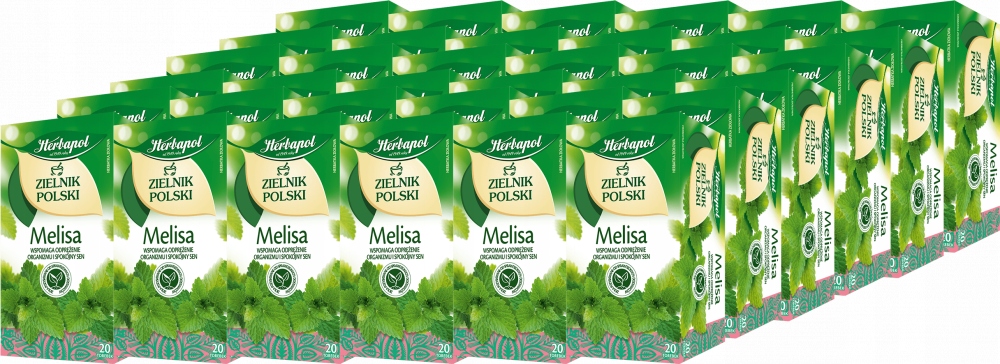 Zielnik Polski Melisa Herbapol 40 g x36