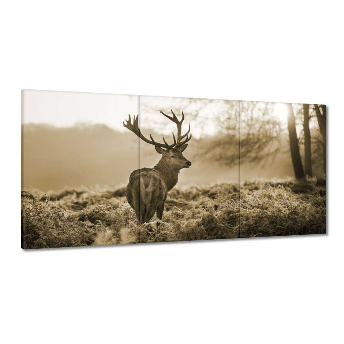 Obrazy 120x60 Jelen Les západ slunce