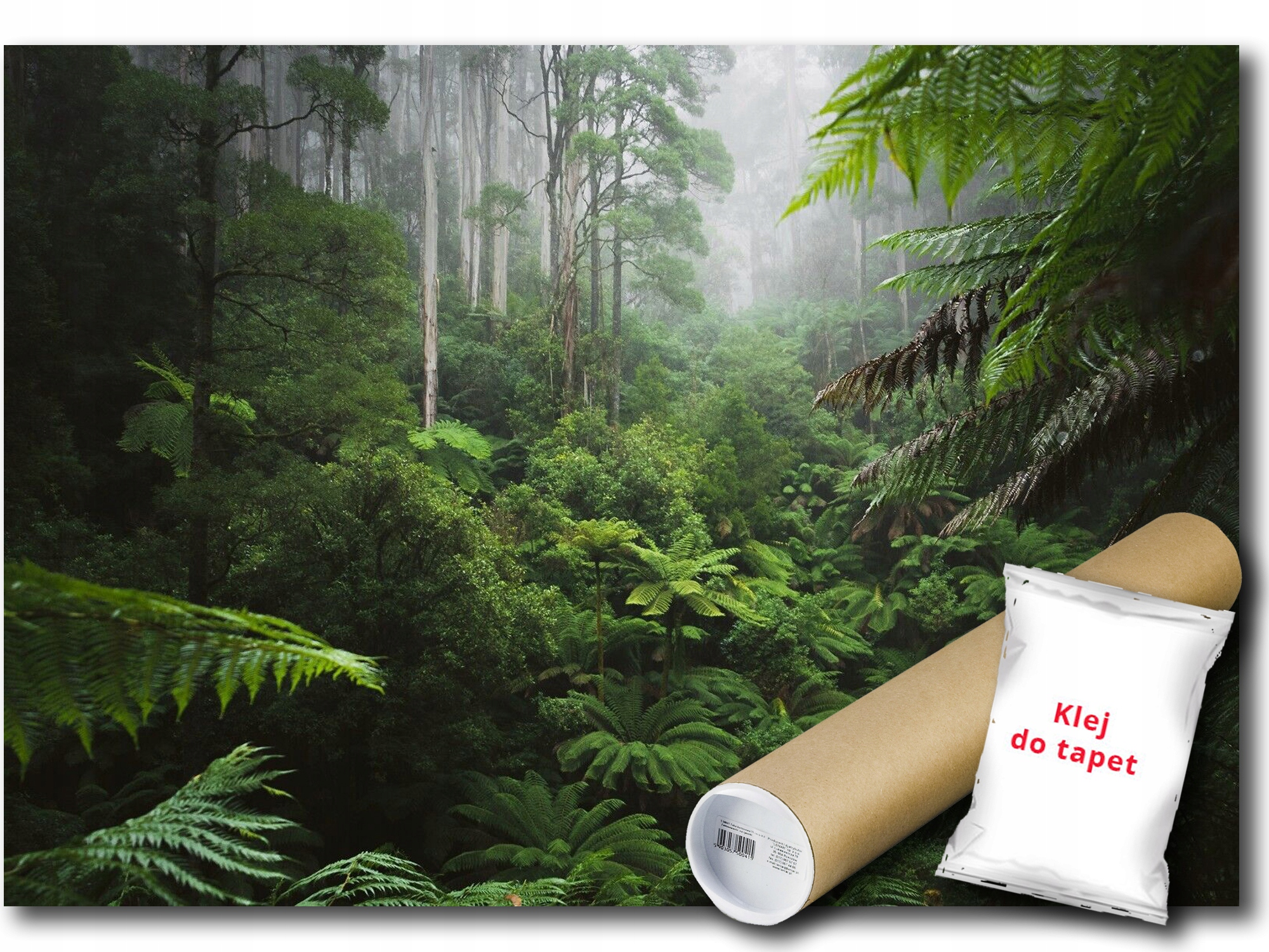 Vinylová Fototapeta Dažďový Les 368x254