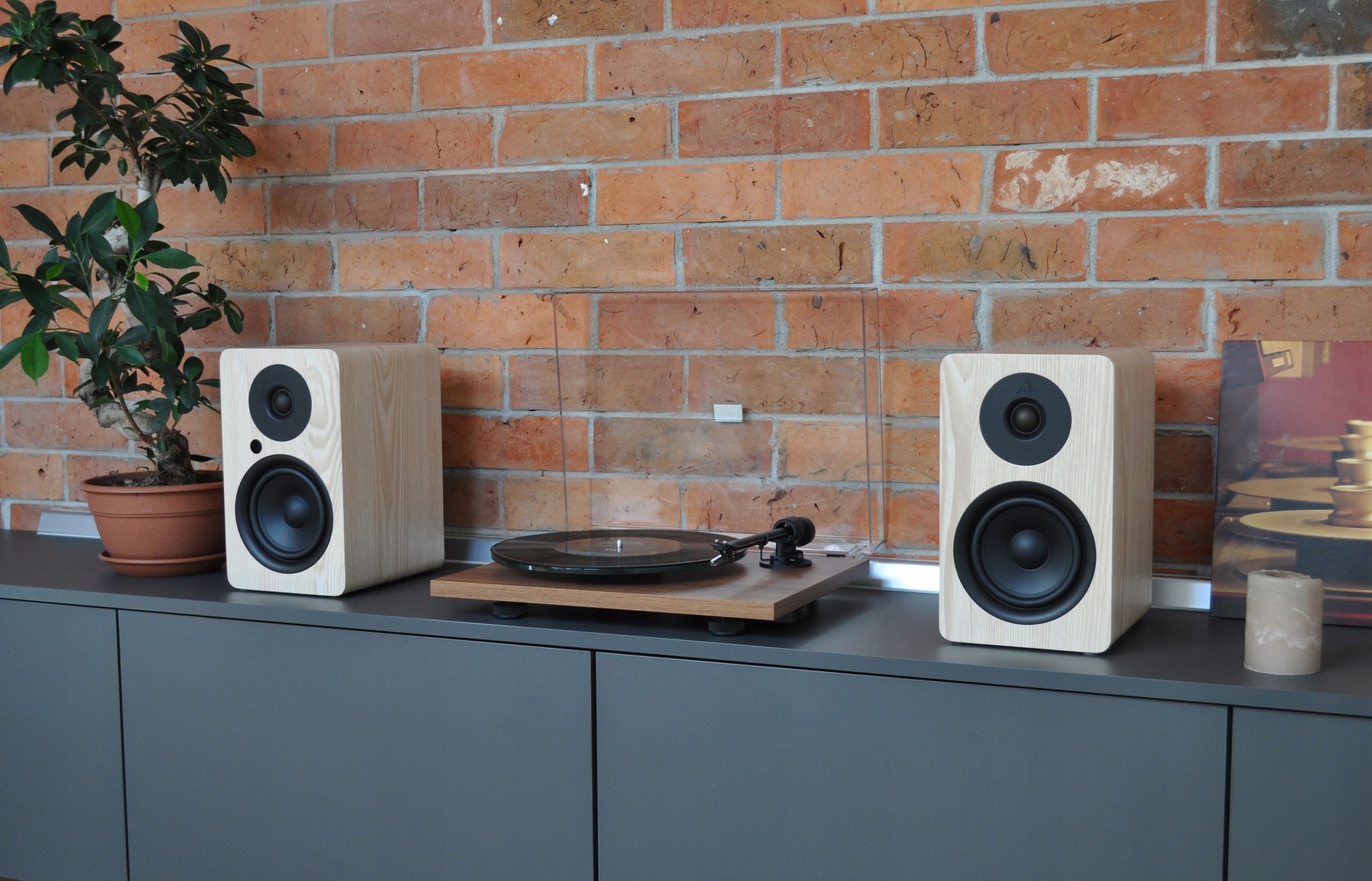 PRO-JECT T1 WALNUT + ARGON AUDIO ALTO A5 ASH Szerokość produktu 41.5 cm