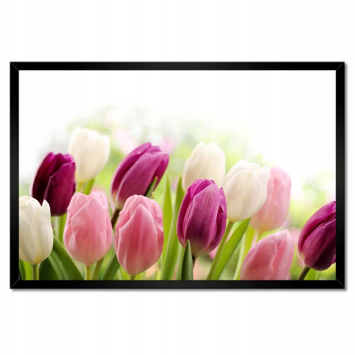 Plakáty v rámu 60x40 Krásné tulipány
