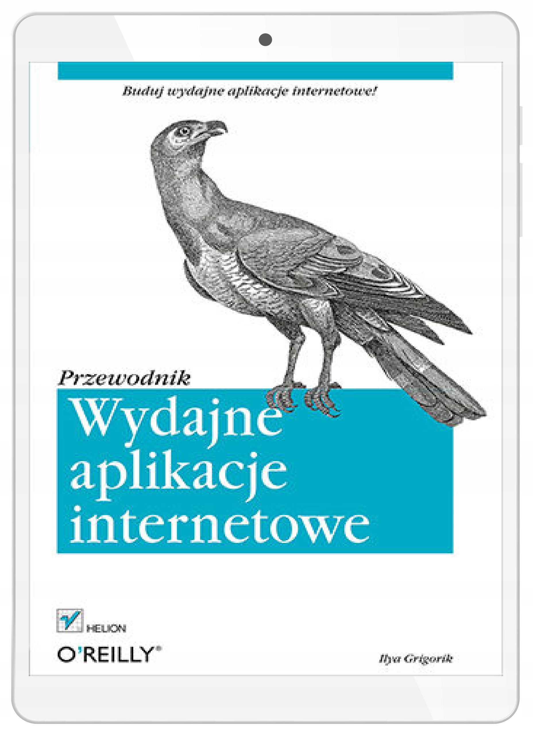 Wydajne aplikacje internetowe. Przewodnik