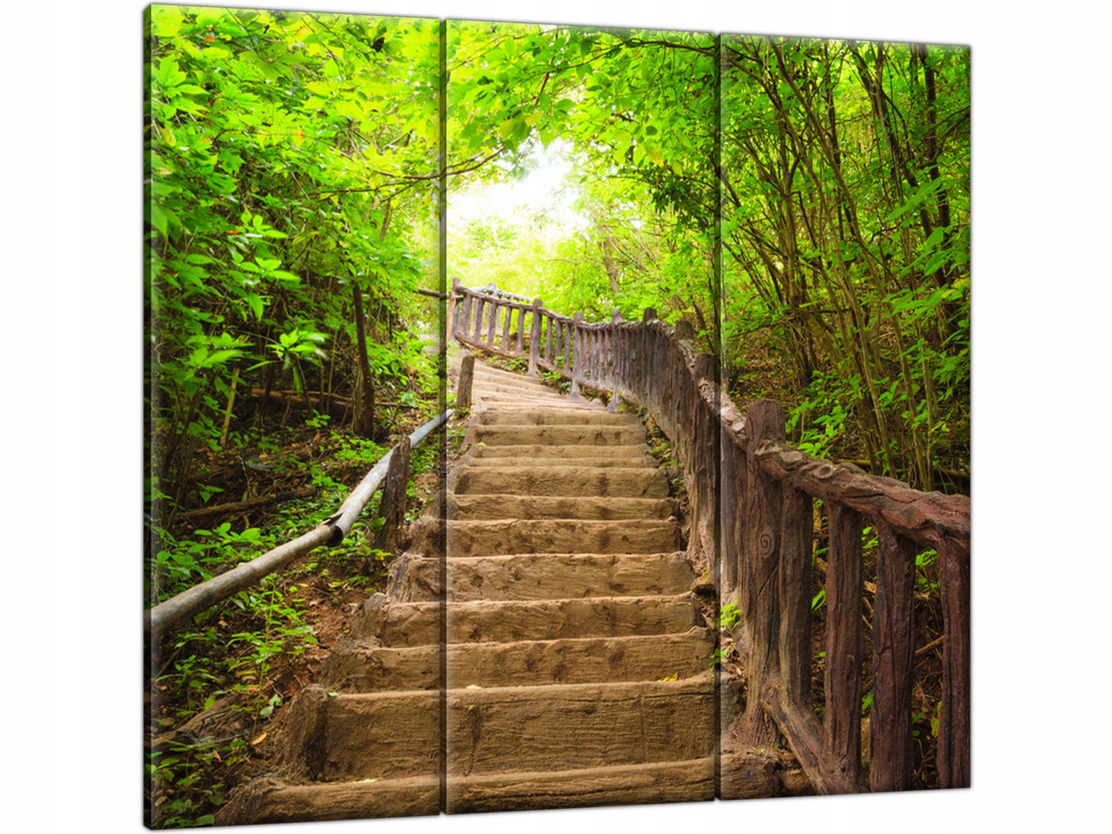 

Drewniane schody Las Obraz 90x80 Tryptyk do salonu