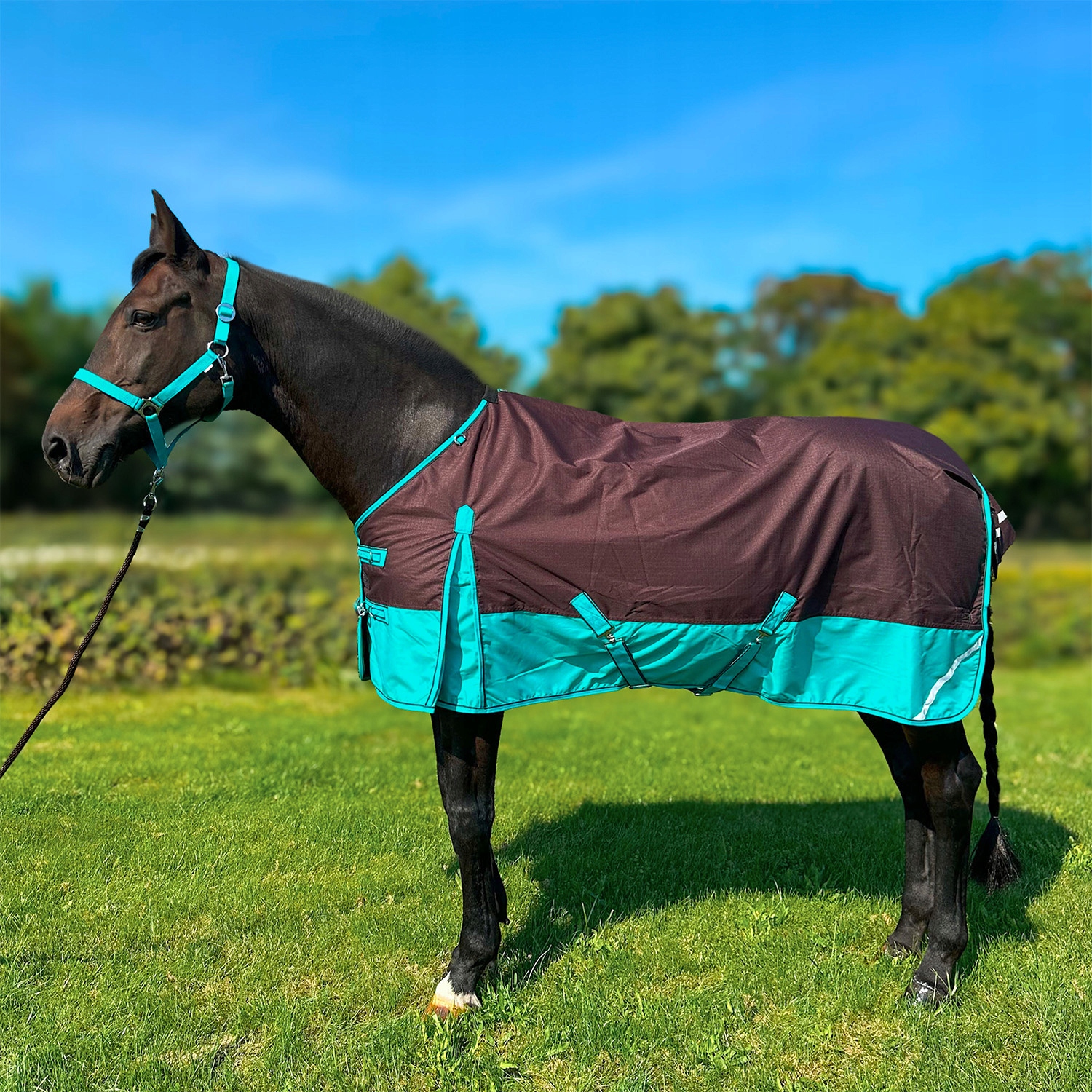 Derka York Clarion 50g padokowa brązowo-turkusowa 155 cm