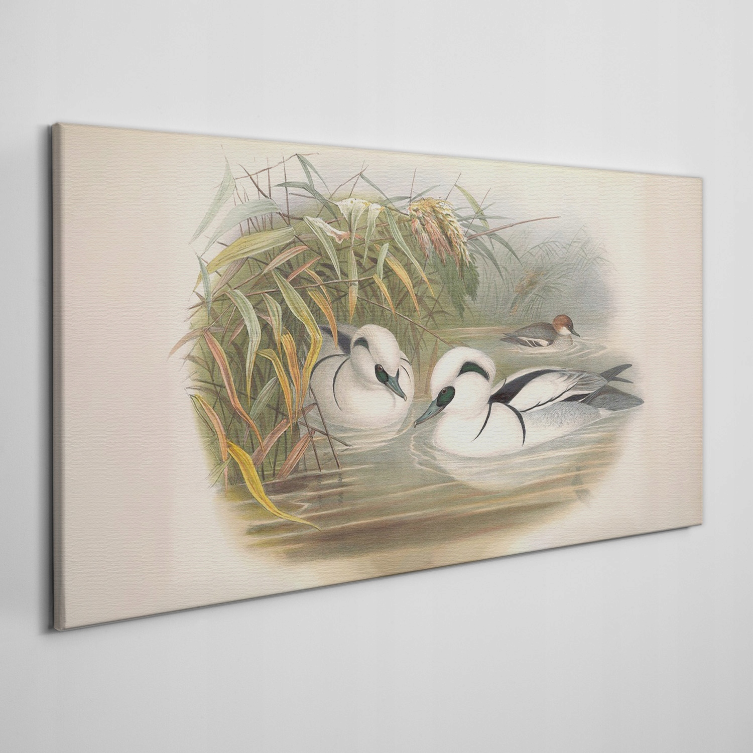 

Obraz na płótnie Ptaki zwierzęta rysunek 140x70 cm