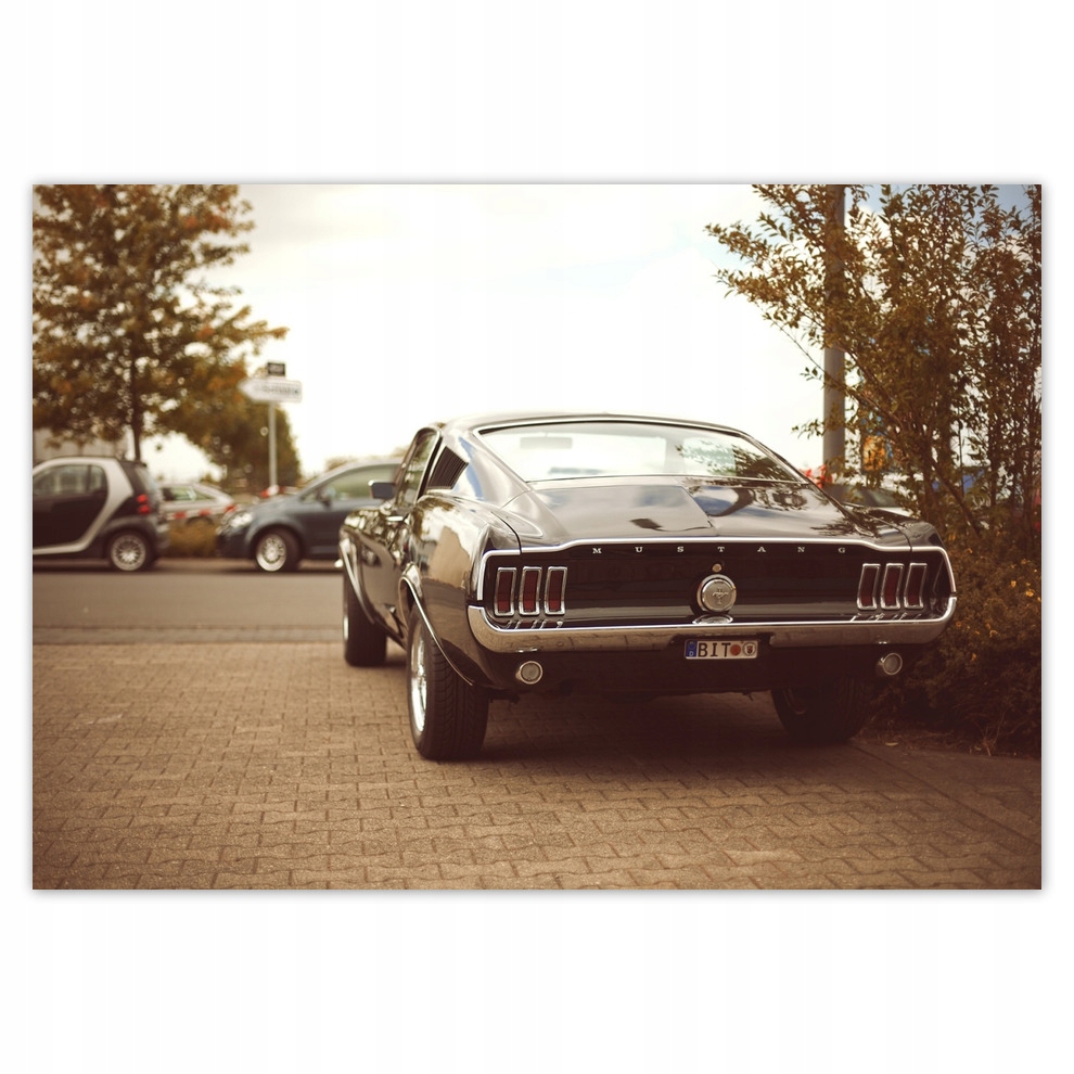 

Fototapety flizelina 312x219 Vintage Ford Mustang