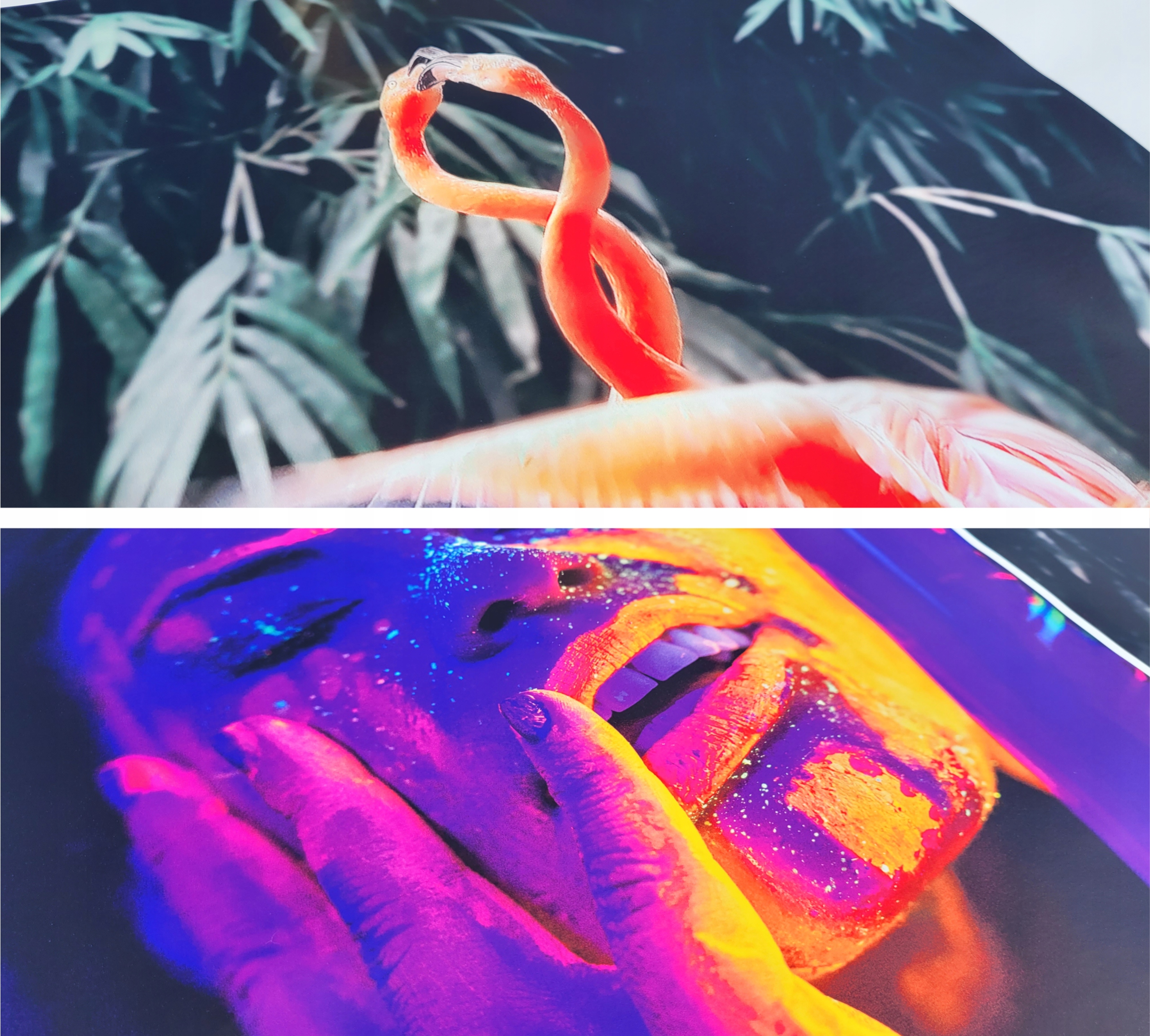 Plakat Plakaty B4 Wydruk Papier 150g 35,3x25cm Liczba sztuk w ofercie 1 szt.