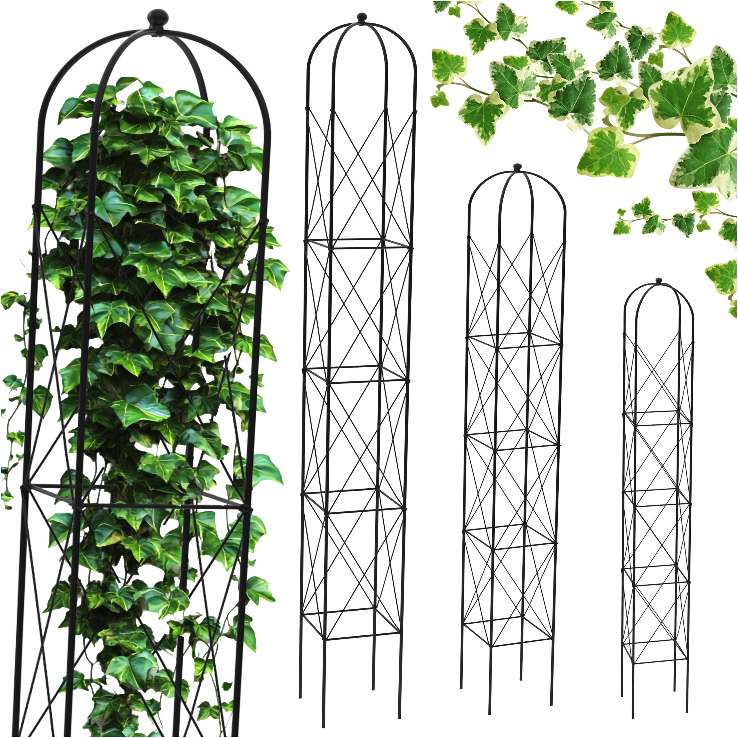 Podpera Podpery Pre Kvety Rastlín A Hortenzie, Uhorky A Paradajky