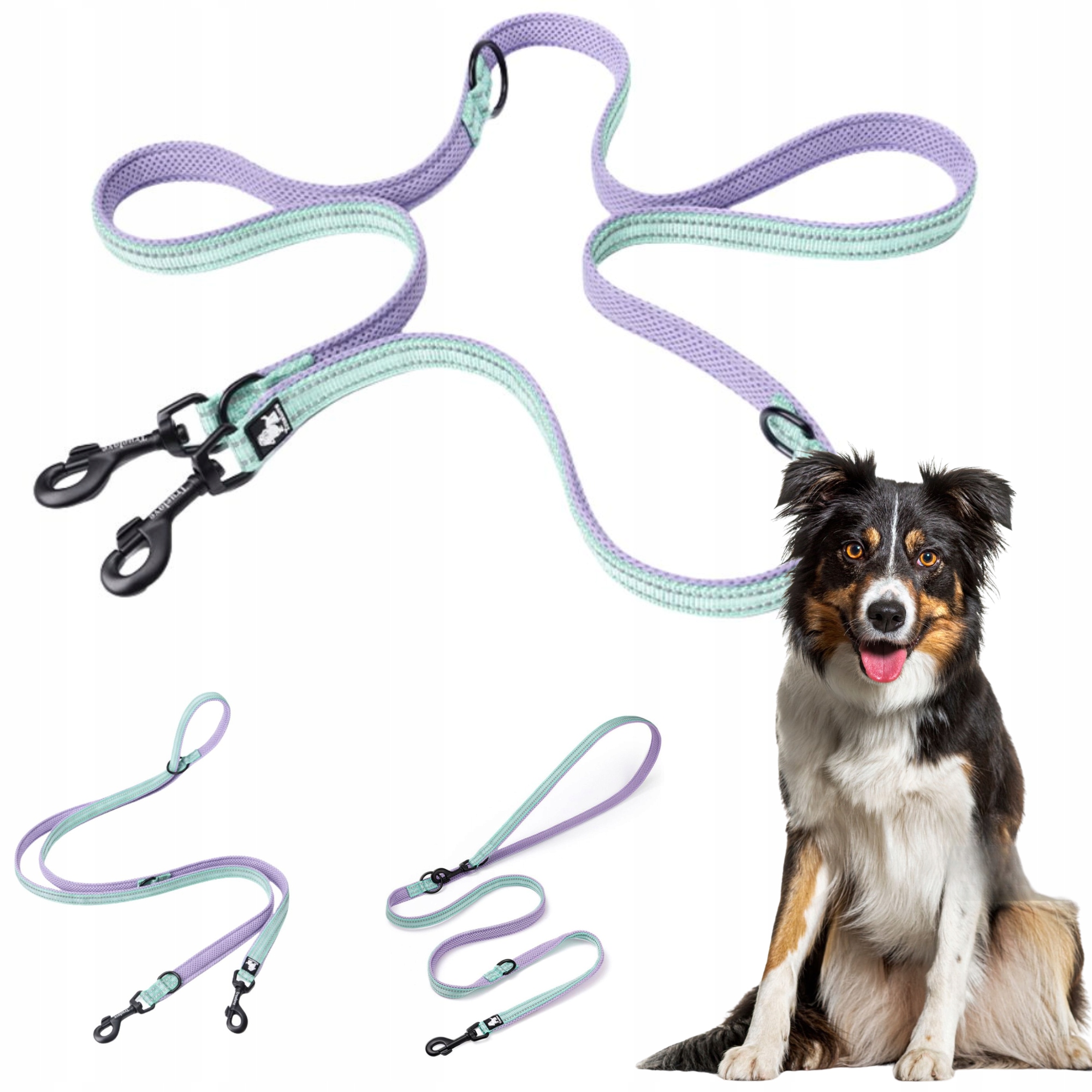 Vodítko Pro Psa Přepínací Reflexní Truelove Active Pro 200 CM Lila M