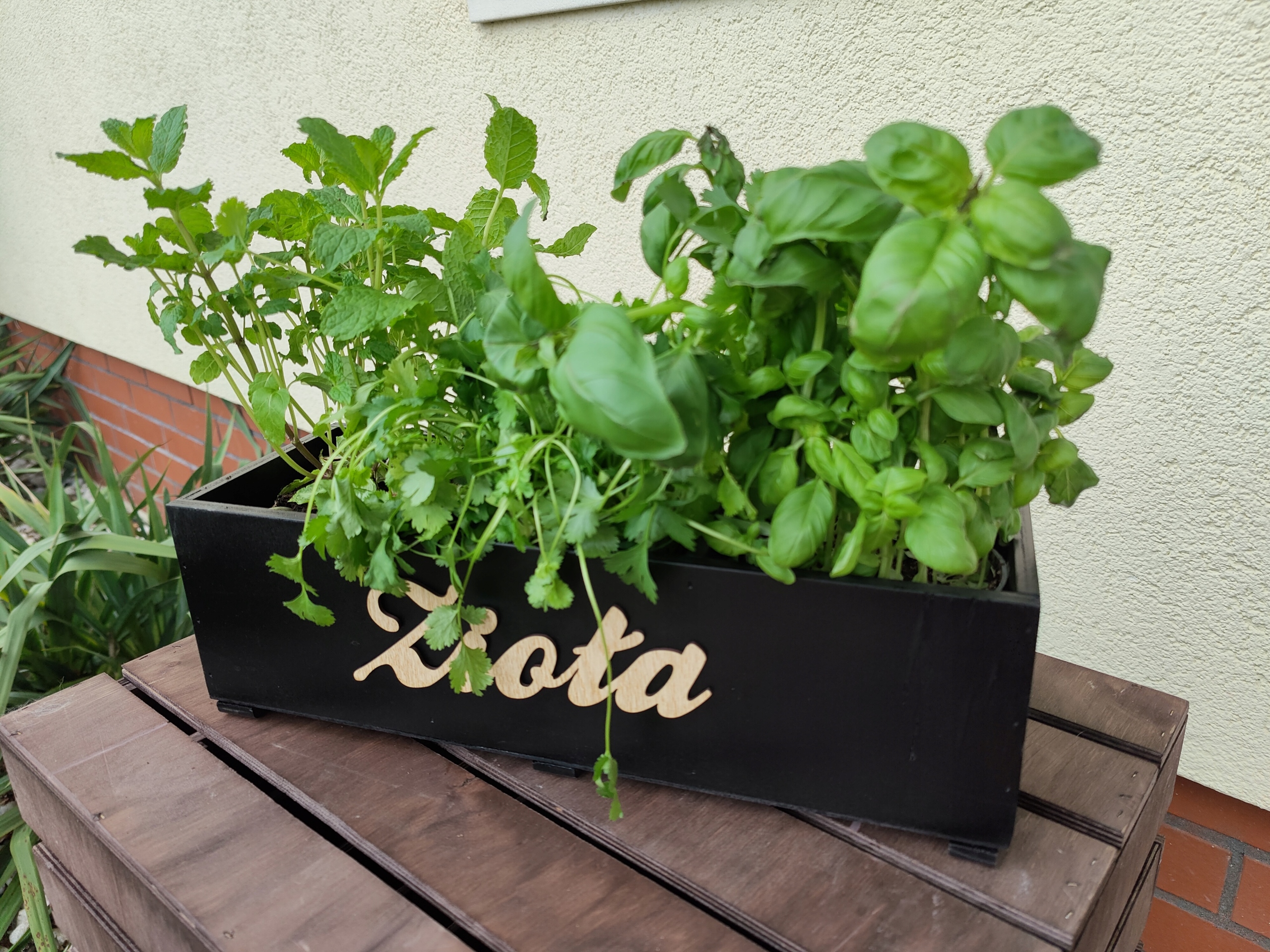 SKRZYNKA ZIOŁÓWKA NA KWIATY ZIOŁA DONICZKA CZERŃ Długość 40 cm