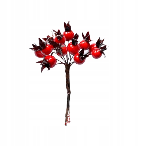 

Dzika róża czerwona drucik 12szt owoce sztuczne