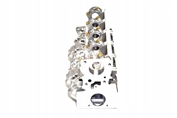 GŁOWICA CYLINDRÓW OPEL ARENA RENAULT CLIO II KANGOO KANGOO EXPRESS EAN (GTIN) 8432817080982