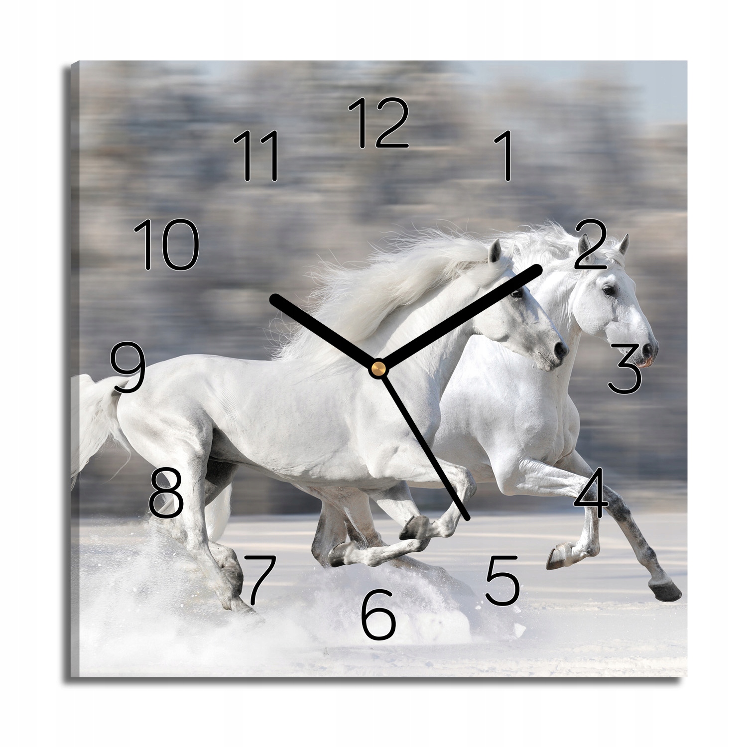 

zegar canvas Białe konie galop na ścianę 30x30