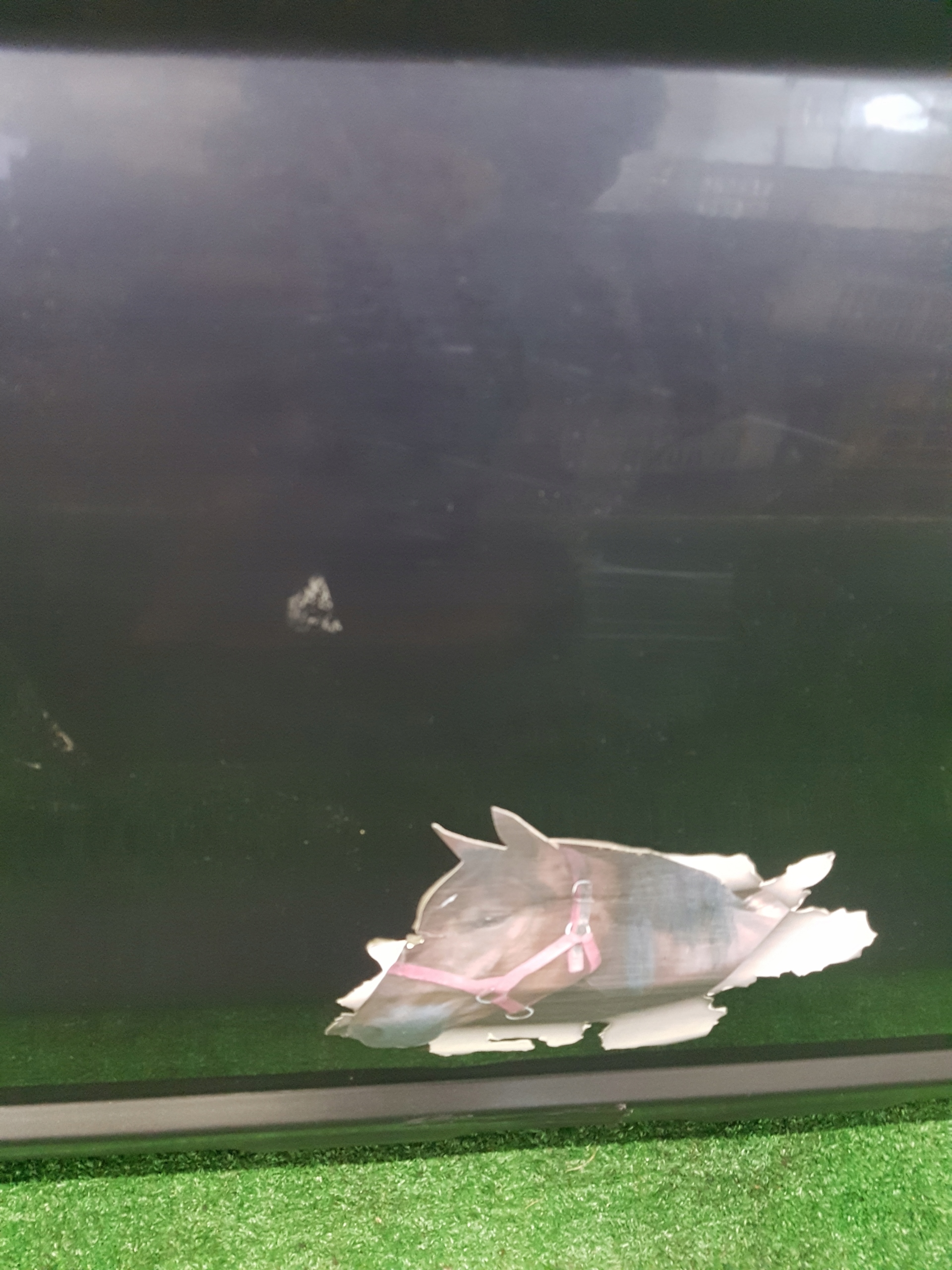 door left front HONDA CR-V III 2008 KOD NH684P