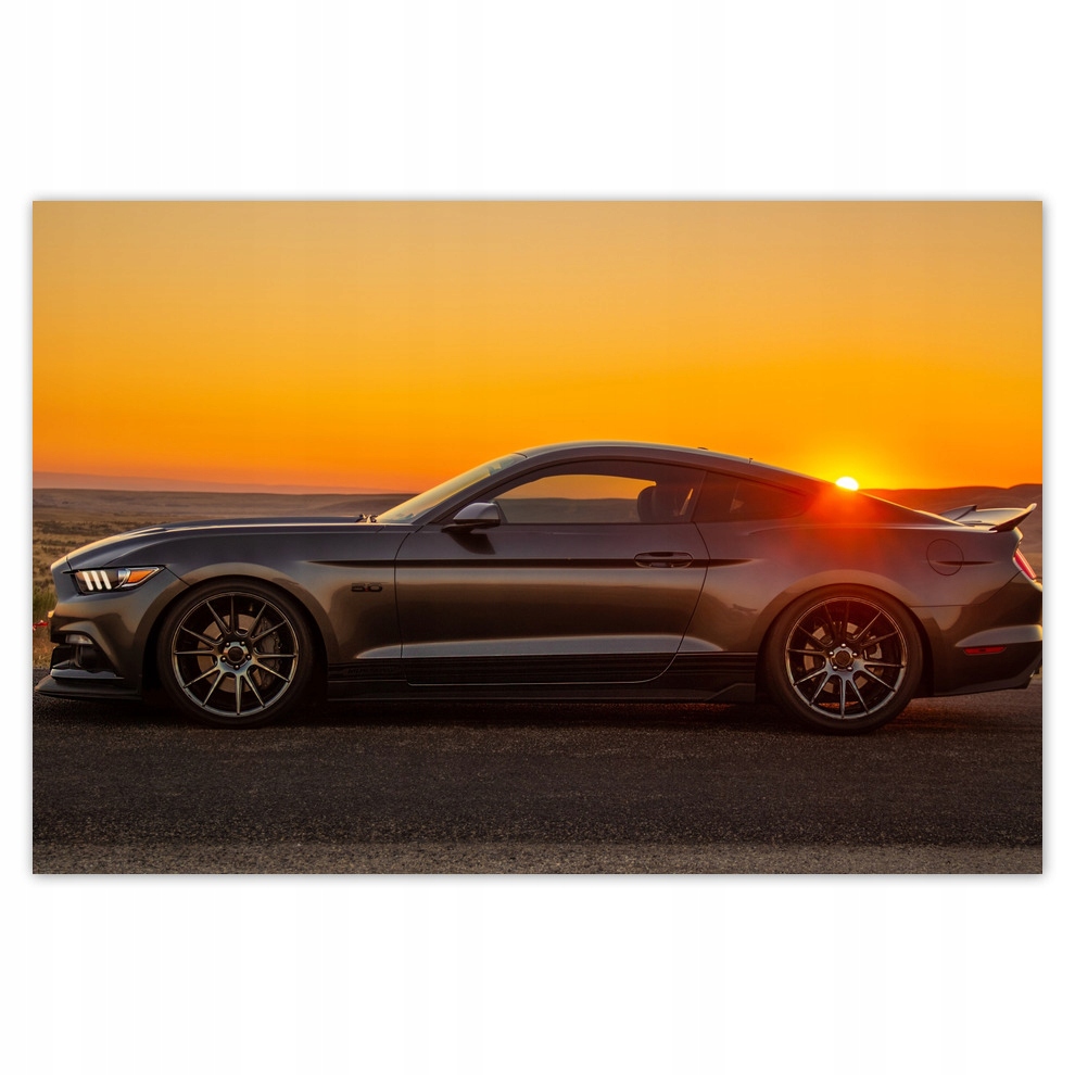

Plakaty 93x62 Ford Mustang made in Usa
