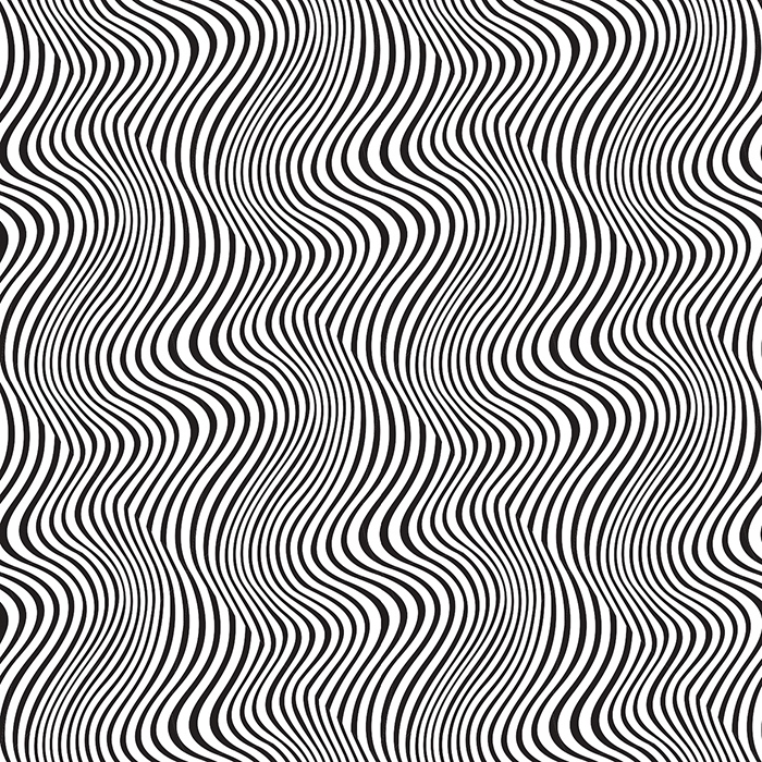 

Fototapeta na ścianę Wzór rozmytej zebry 360x250cm