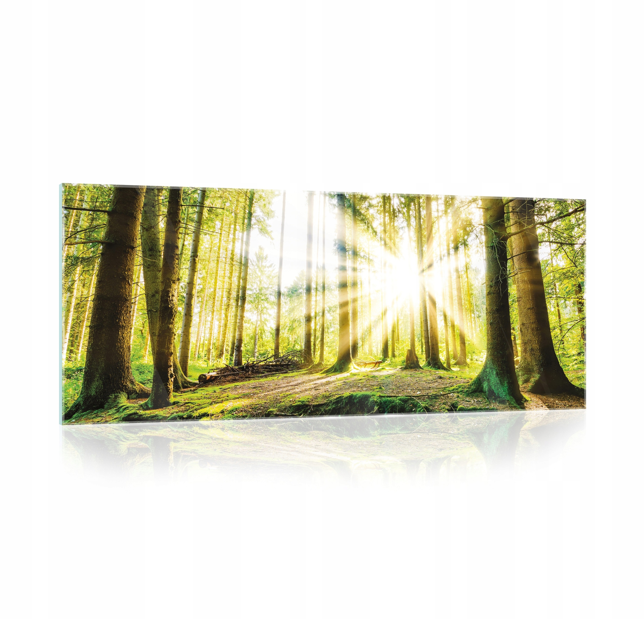 Skleněný obraz na skle Les Příroda Krajina 125x50