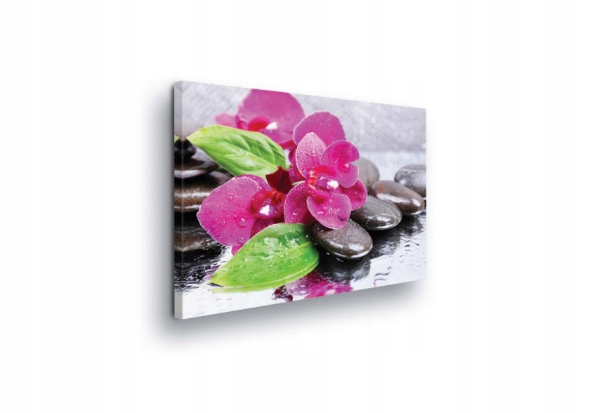 Obraz 80x60 Orchidej kameny lázně relaxace harmonie příroda růžová zeleň