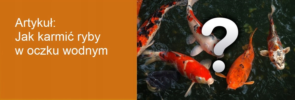 Ibuki Dried Shrimps 1000 ml Kod producenta Z10038