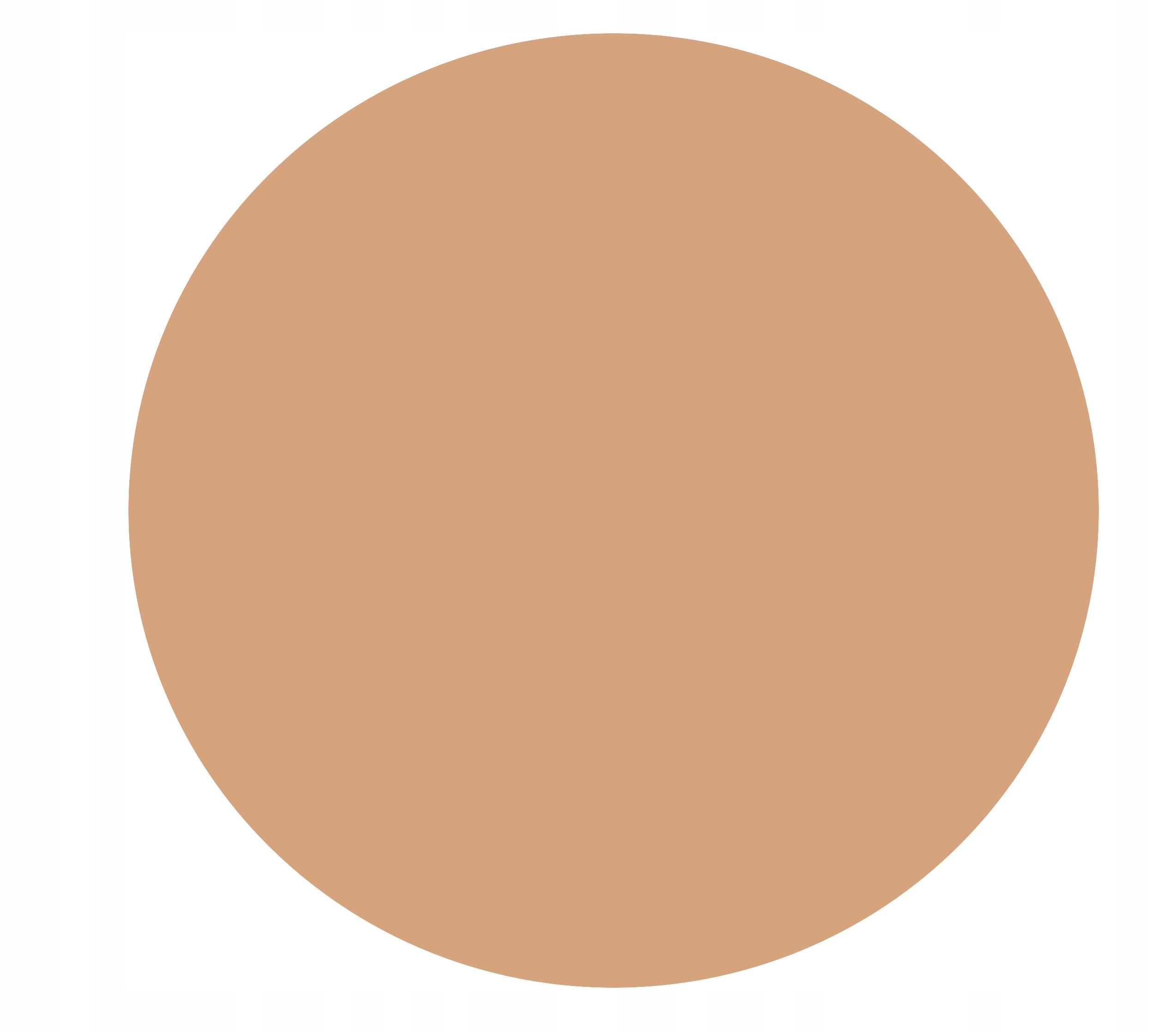 Kryolan Korektor Brush-On Concealer v štětečku-1