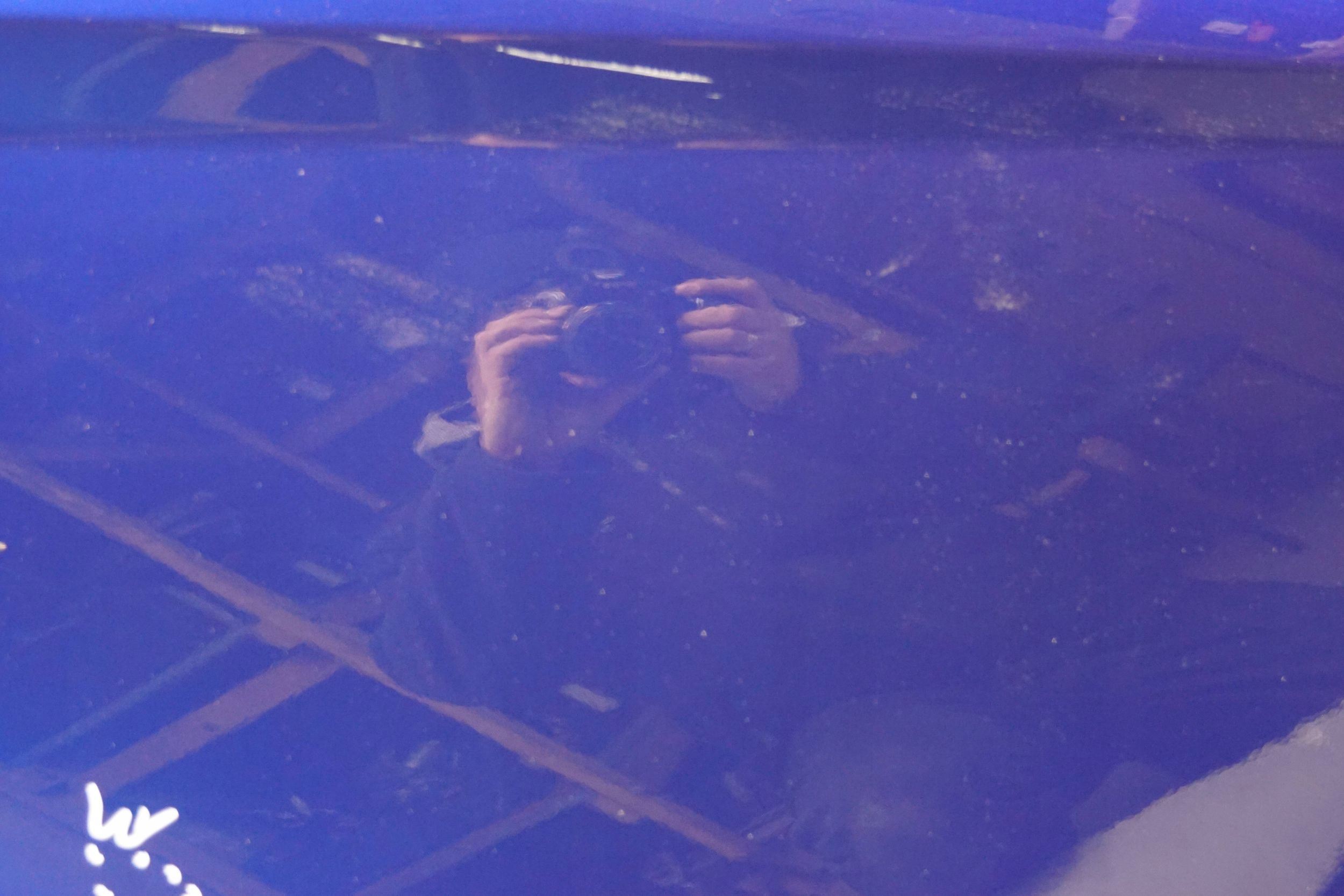 Ford Fiesta VIII Mk8 Tür Hinten Links Door Porta Porte - Thumbnail 9
