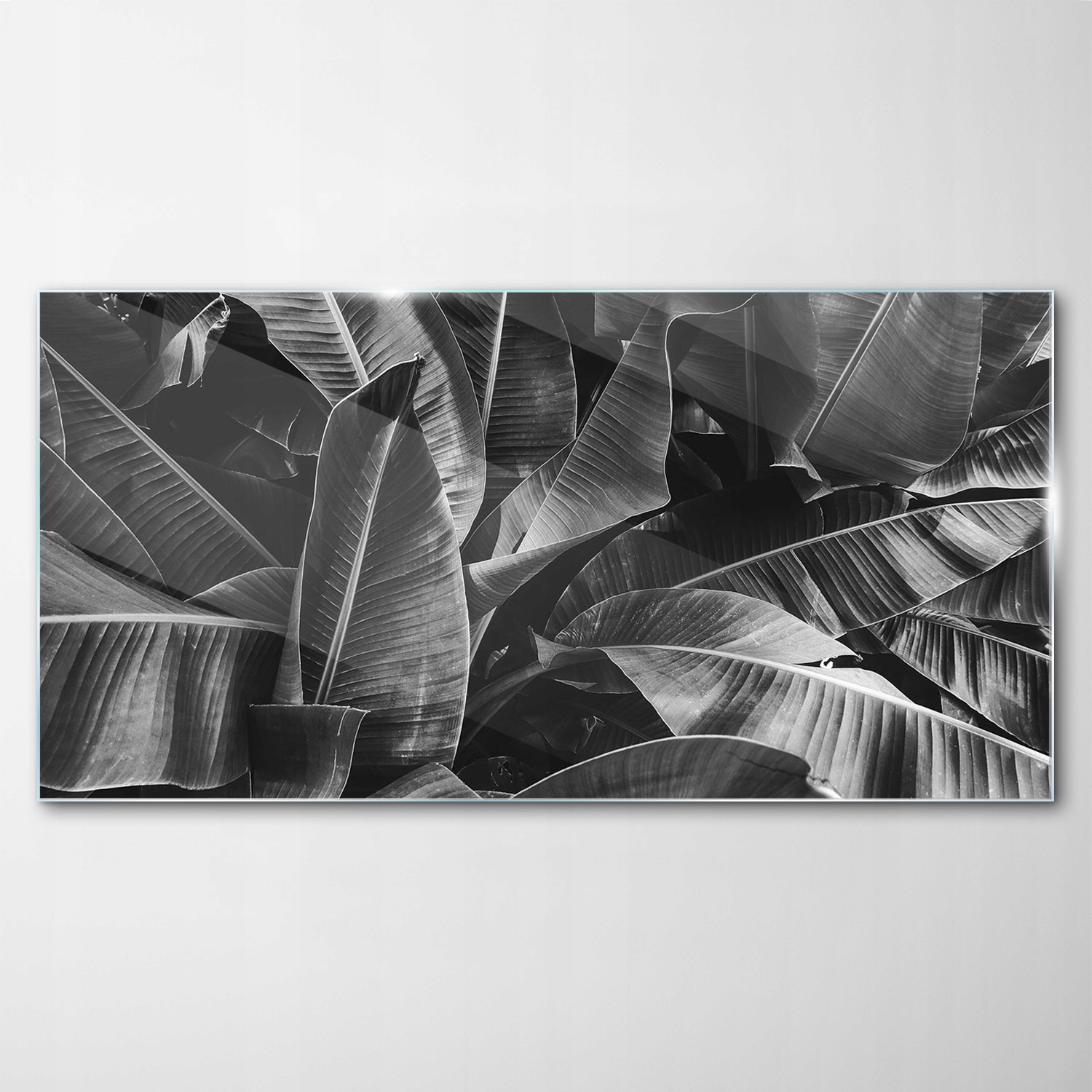 Obraz na skle Dekor Příroda Tropy Palmy 120x60