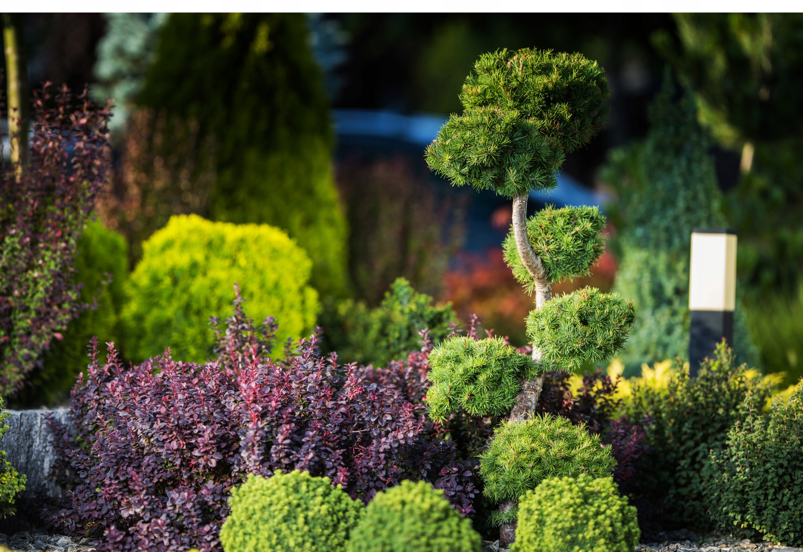 OGRODOWA KORA SOSNOWA LUZEM WOREK 80L GRUBA MIELONA BORÓWKI IGLAKI + GRATIS Pojemność 80 l