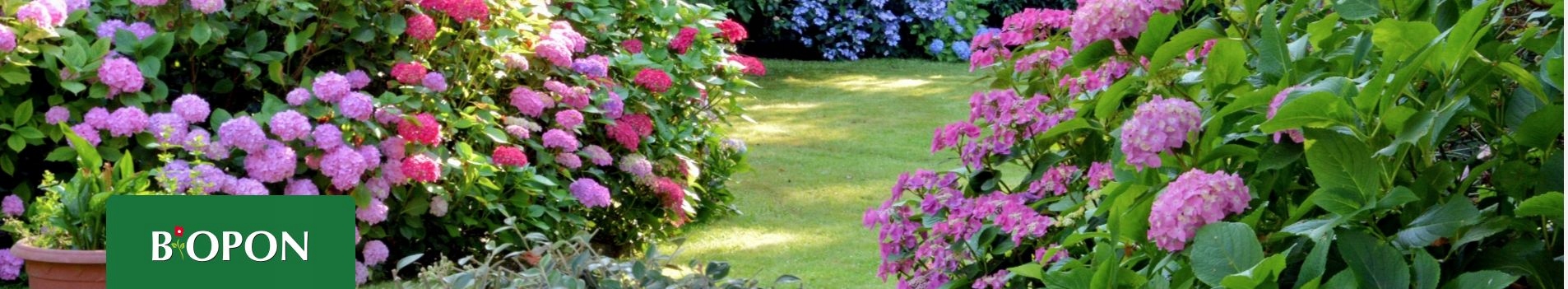 BIOPON NATURAL NAWÓZ BIOHUMUS UNIWERSALNY DO WARZYW I ZIÓŁ 1L ODŻYWCZY Kod producenta 590451730301