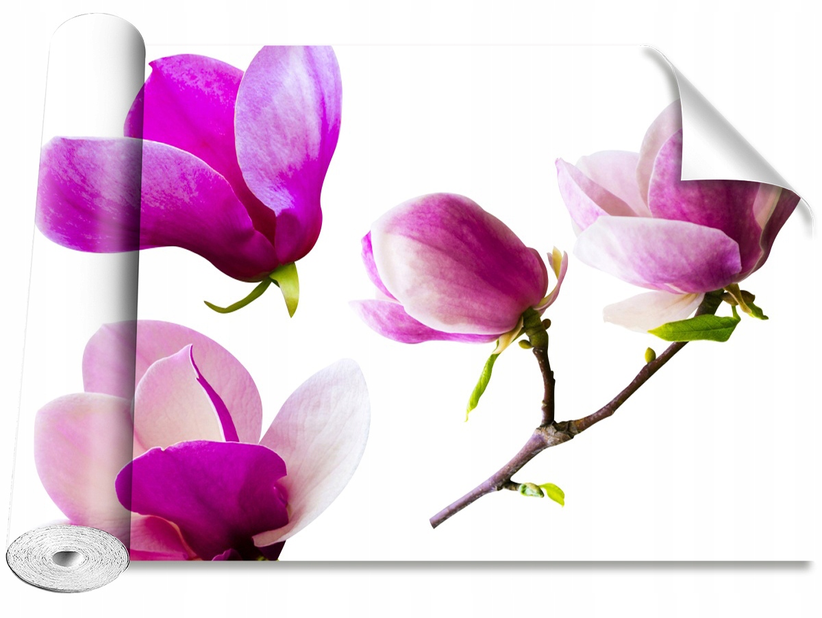 

Tapeta Samoprzylepna Kwiaty magnolii - 416x254