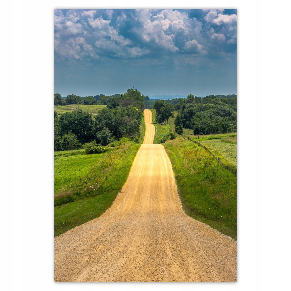 

Plakaty 62x93 Droga Łąka Pole Las