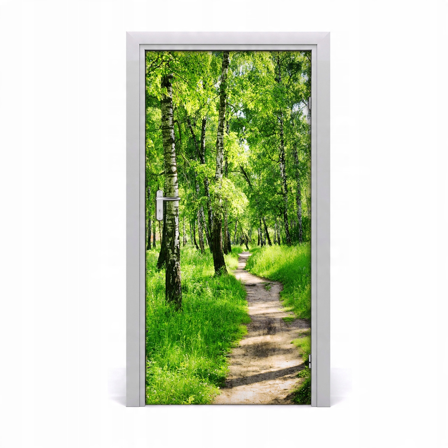 

Naklejka fototapeta na drzwi Las brzozowy