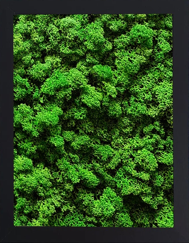 DEKORACJA Z MCHU OBRAZ RAMKA 18X24CM PREZENT