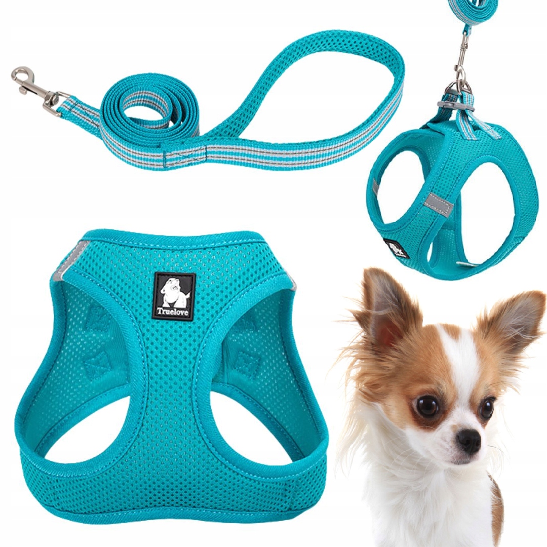 Levně Postroj Vodítko Pro Malého Psa Kočky Truelove Mini Modrý Xxxs Set