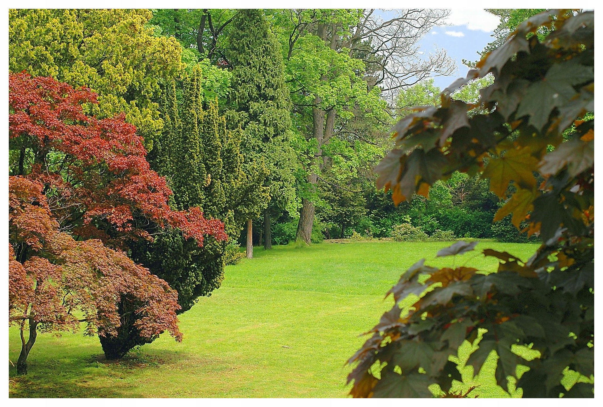 Fototapeta Klidný park s zeleninou a hloubkou přírody 208x146 lepidlo