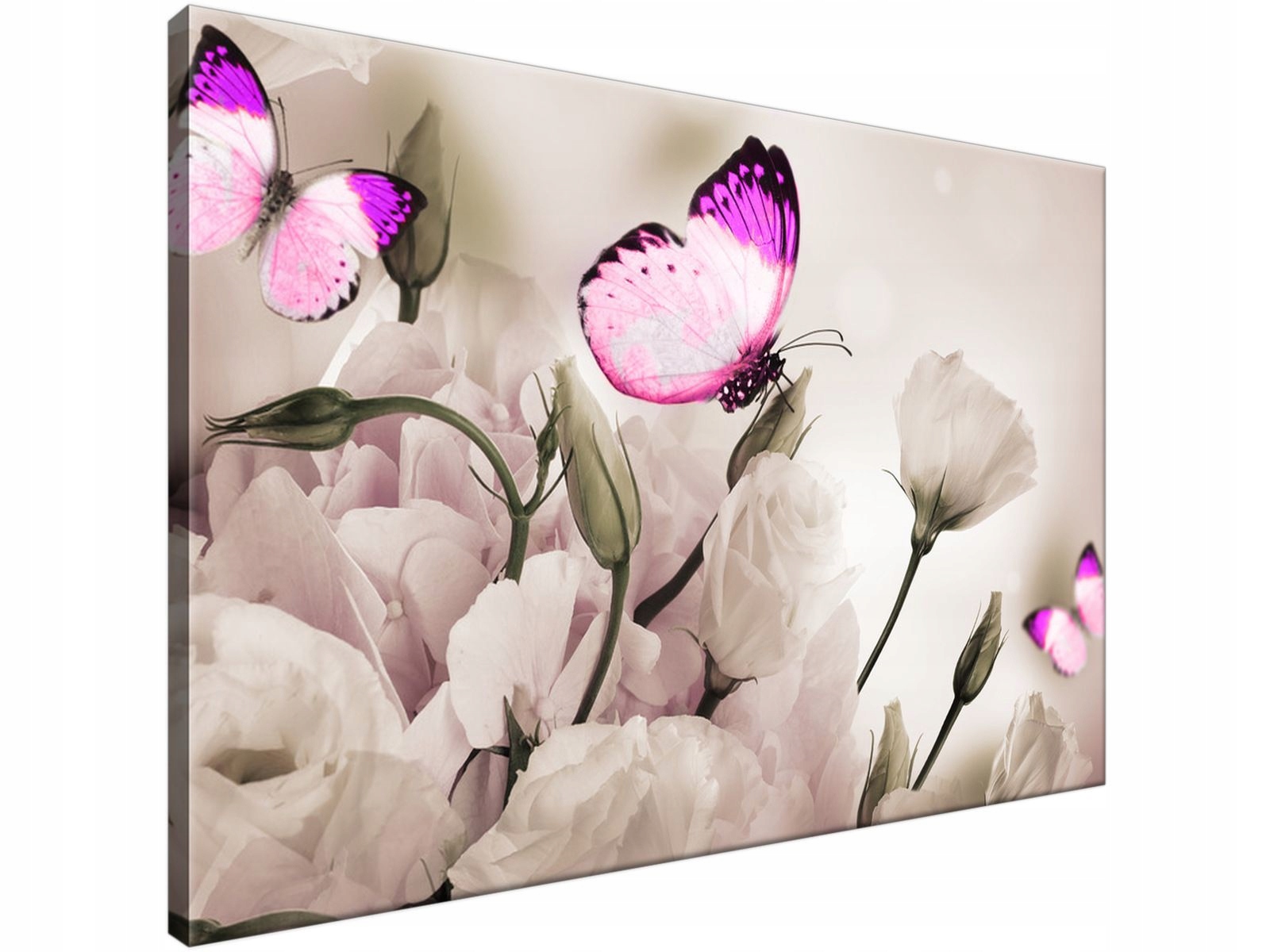 

Obraz drukowany Motyli raj 90x60 cyfrowy