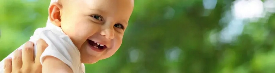 HIPP BIO Jabłkowe wafelki ryżowe po 7 m-cu - 30 g Wiek podawania od 8 miesiąca