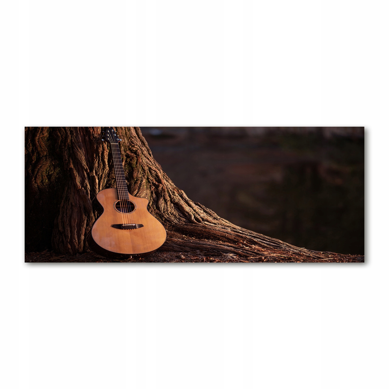 

Foto obraz szkło akryl Gitara akustyczna 125x50 cm