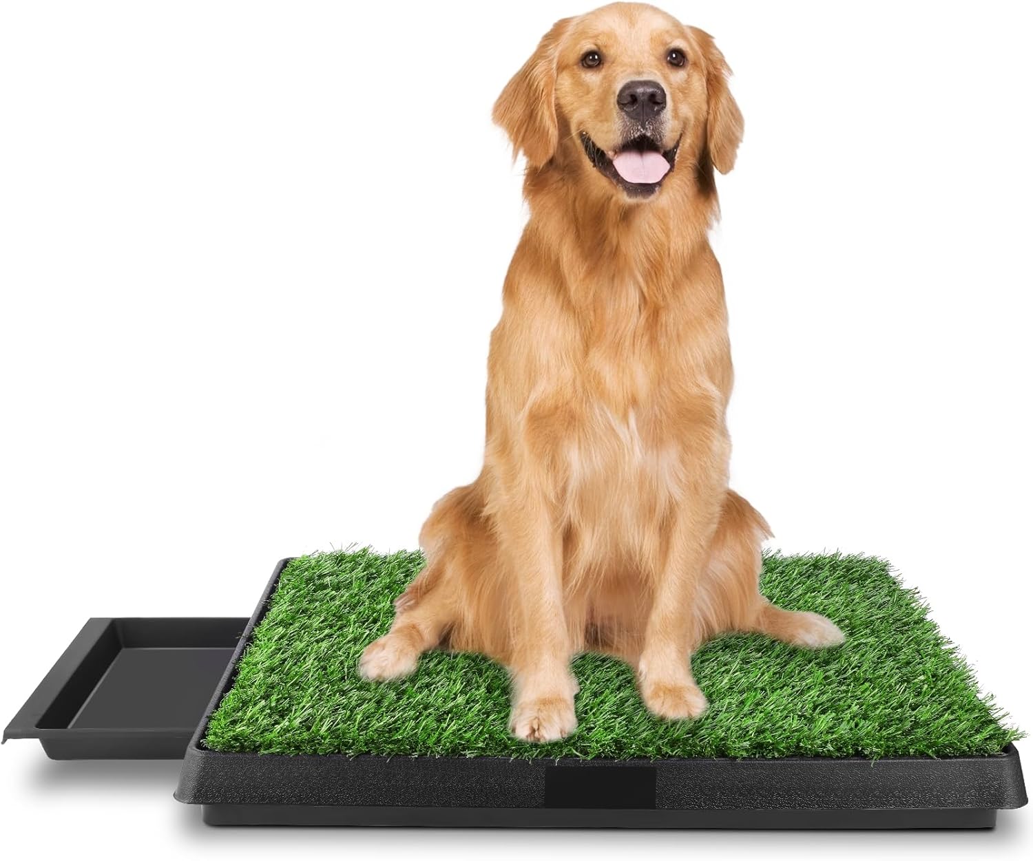 Levně Toaleta pro štěňata, 63 x 50 cm, tréninková podložka