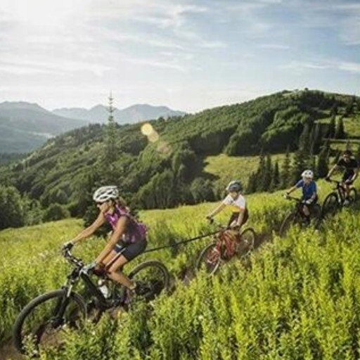 LINA DO HOLOWANIA ROWERU Marka Inna marka