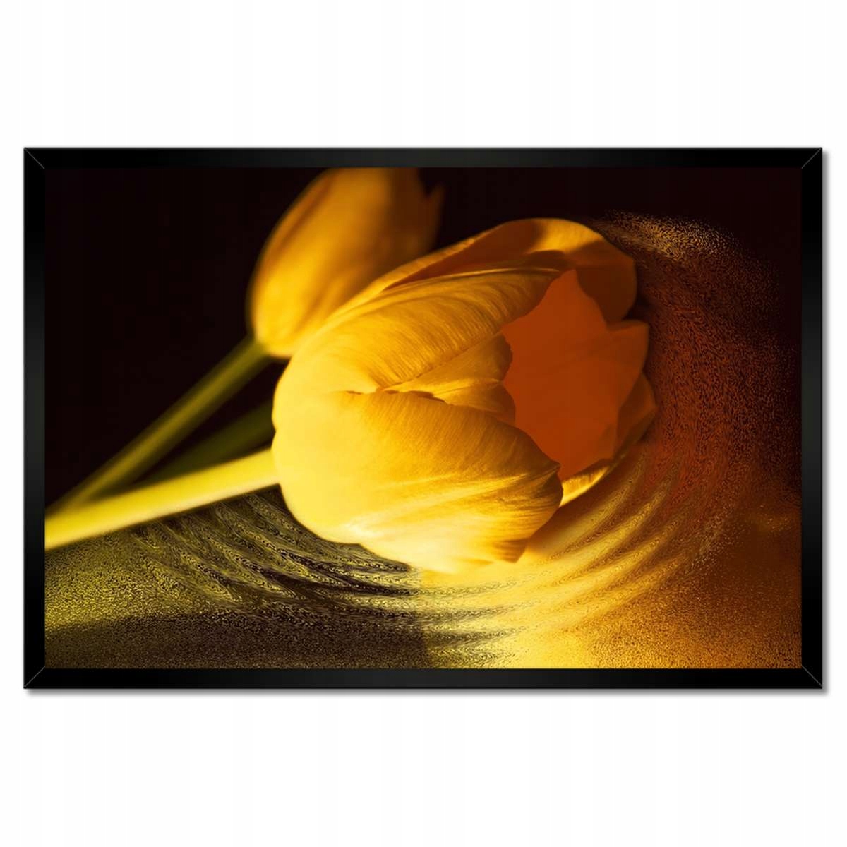 Plakáty v rámu 60x40 Žluto-zlatý tulipán