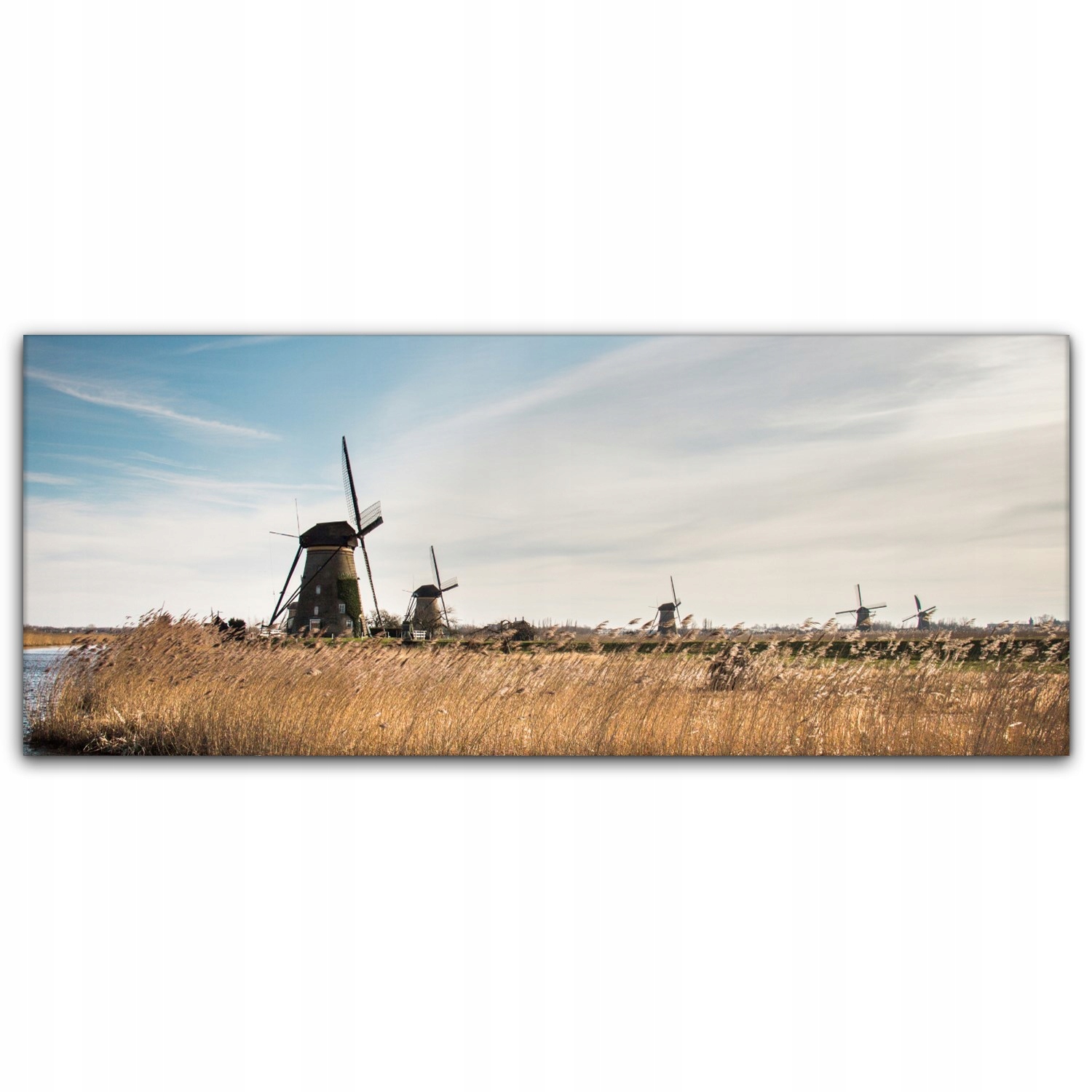 

Obraz płótno canvas 125x50 Młyn Holandia Krajobraz