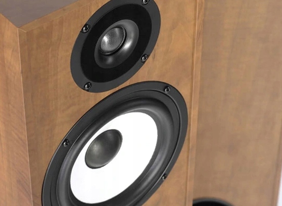 PYLON AUDIO PEARL 25 KOLUMNA PODŁOGOWA ORZECH Rodzaj podłogowe