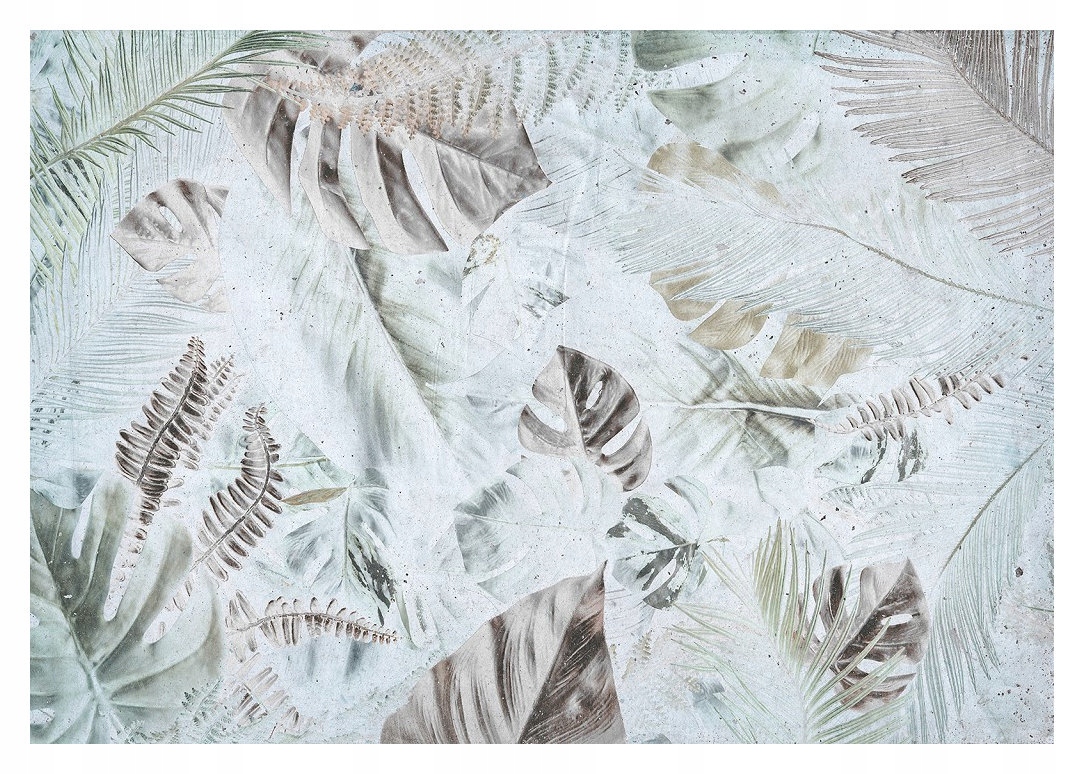 Fototapeta Listy monstery kapradiny palmy botanika pastelová 416x290 lepidlo