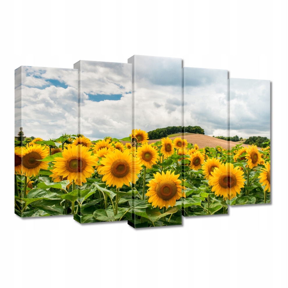 

Obrazy 70x50 Pejzaż ze Słonecznikami