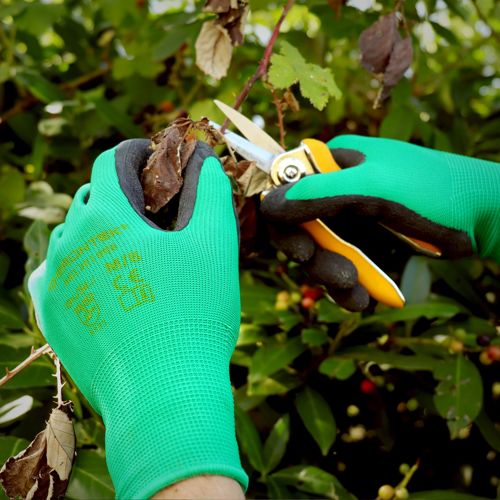 Rękawice ogrodowe Gruntek 5 par, rozmiar XL Marka inna