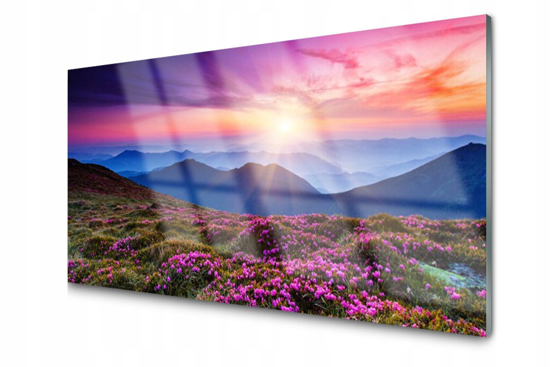 Dekoračný sklenený panel Hory Lúka Kvety 100x50