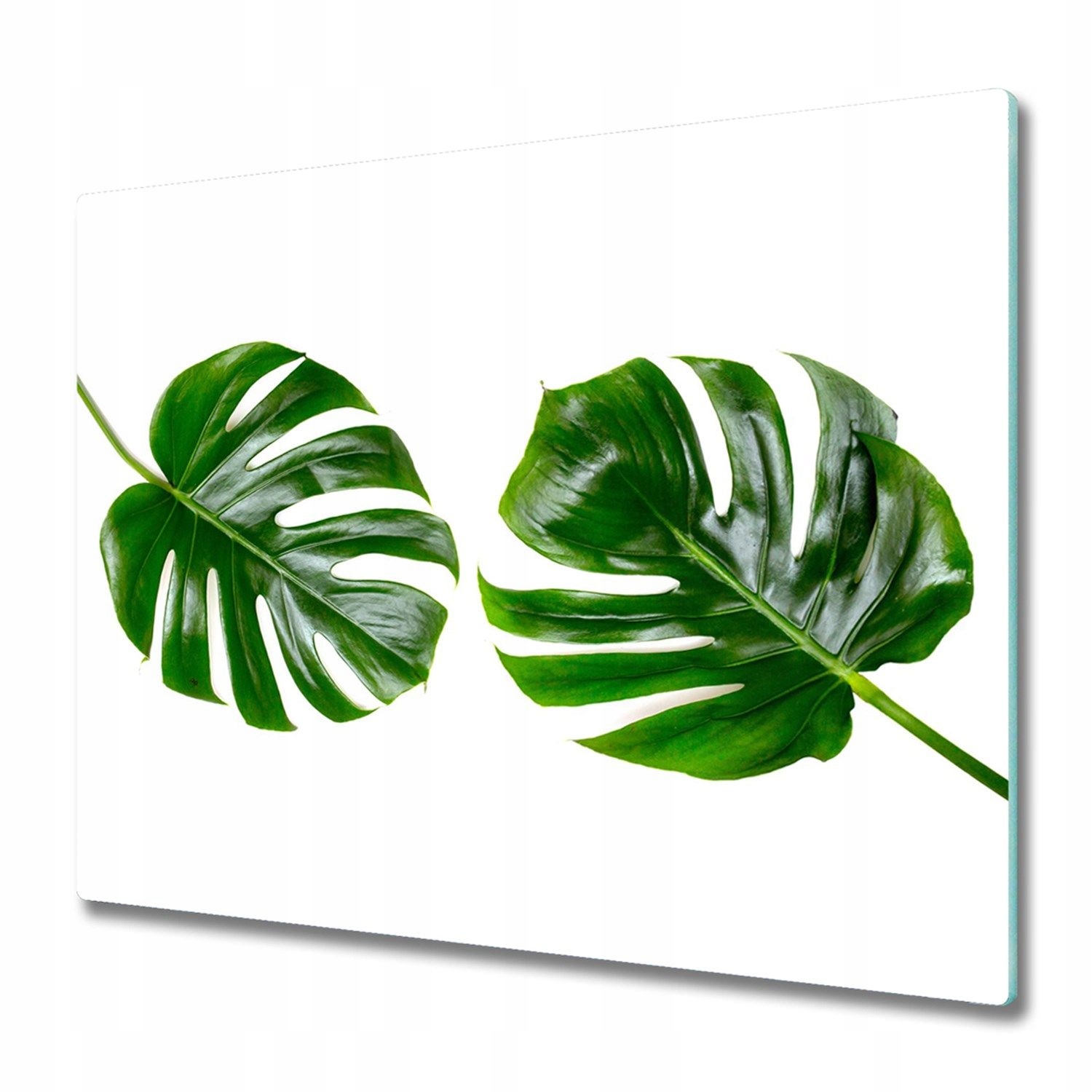 

Deska szklana na indukcję Tropikalne liście 60x52