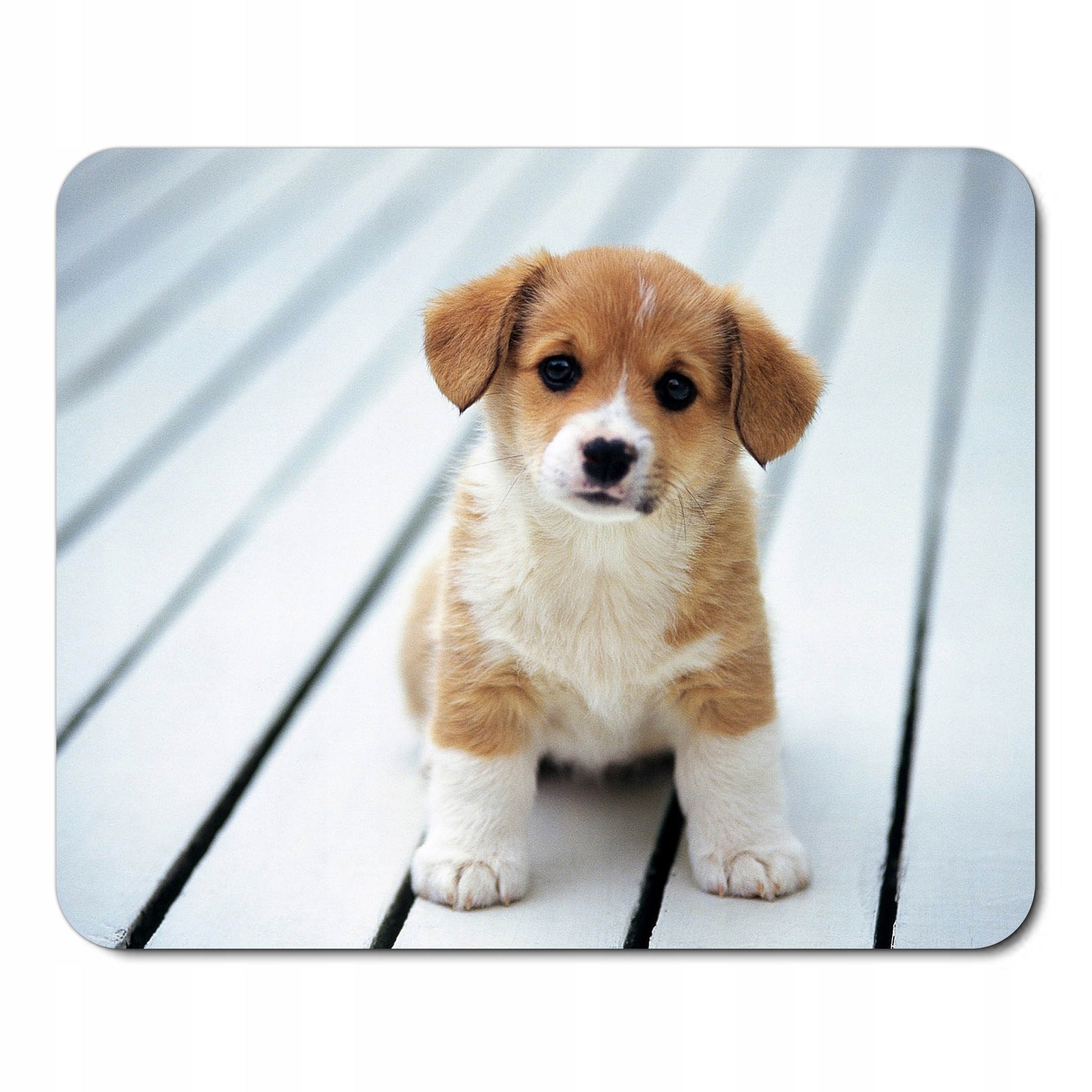 

Podkładka Pod Mysz Myszkę Z Psem Psy Pieski