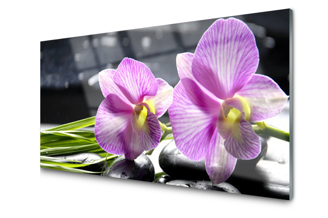 

Panel szklany dekor Kwiaty Roślina 120x60 + Klej