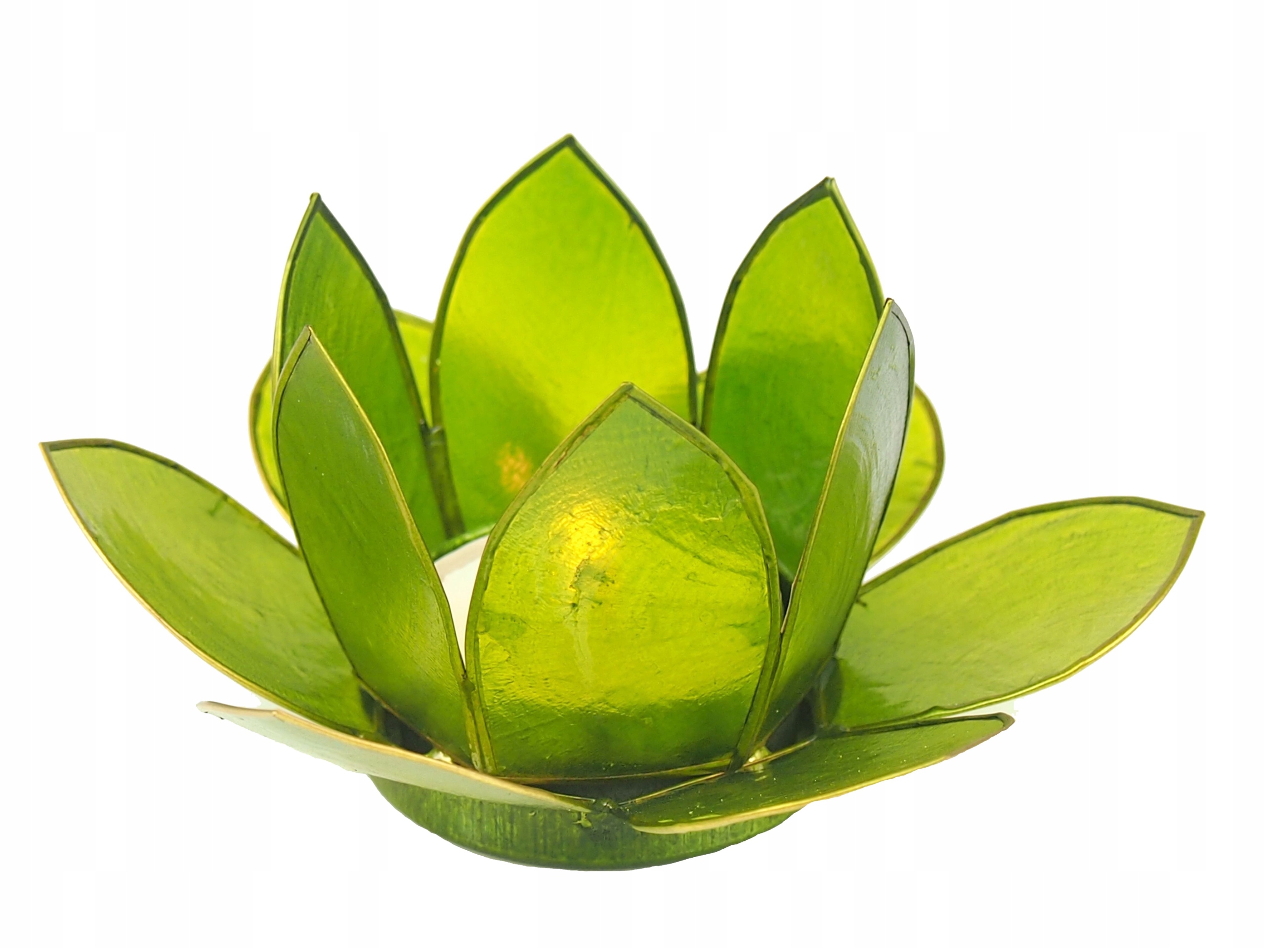 

Świecznik Lampka z muszli zielony Lotos